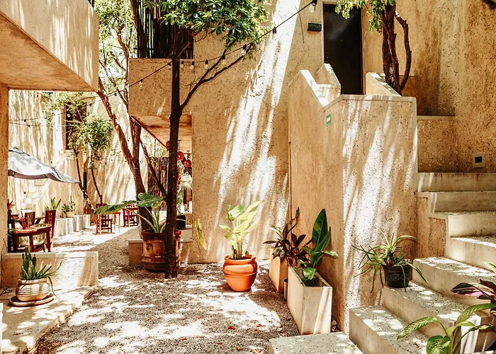 Hotel Ama Y Prana