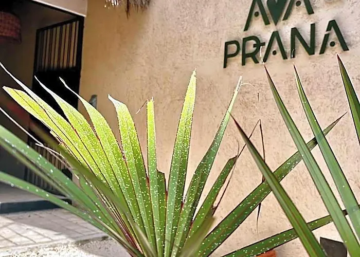 Hotel Ama Y Prana Tulum