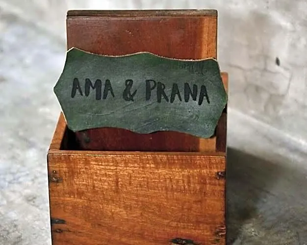 Ama Y Prana 5*