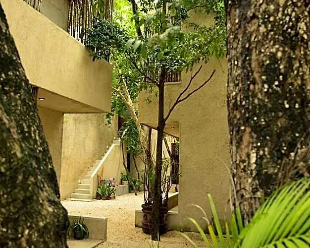 Ama Y Prana Hotel 5*