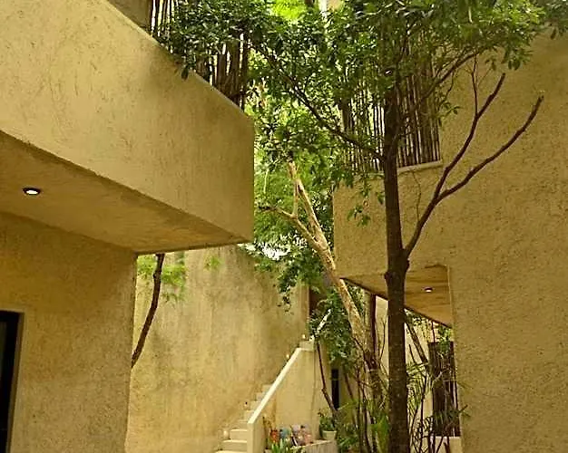 Ama Y Prana 5* Tulum