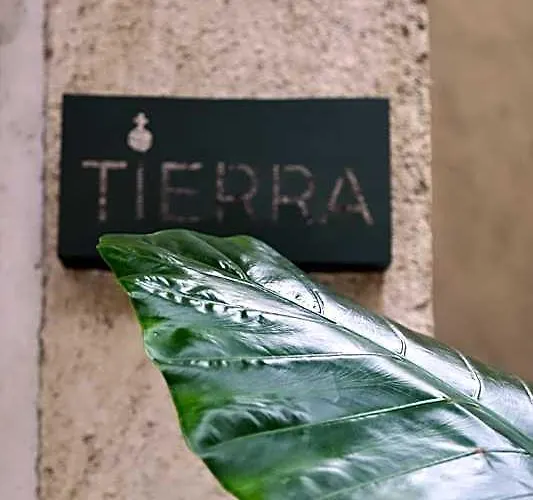 Ama Y Prana 5* Tulum