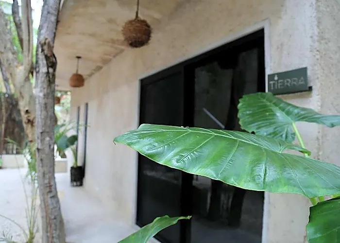 Ama Y Prana 5* Tulum